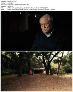 Salinger (2013)