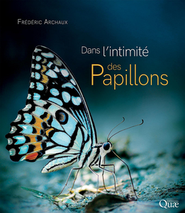 Dans l'intimité des papillons - Frédéric Archaux