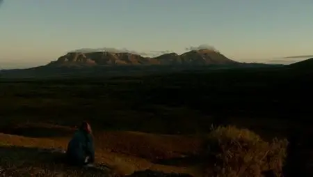 Road Kill (2010)