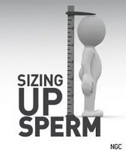 National Geographic : Sizing Up Sperm