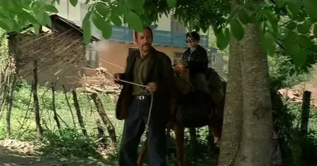 Rang-e khoda / The Color of Paradise - by Majid Majidi (1999)