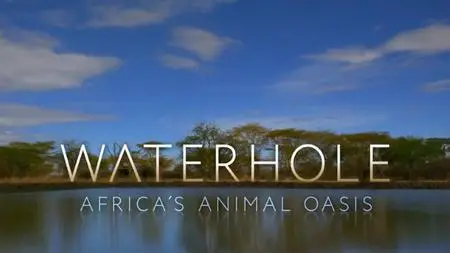 BBC - Waterhole: Africa's Animal Oasis (2020)