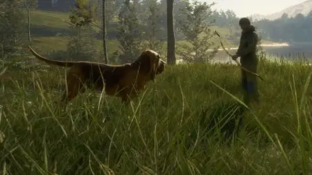 theHunter Call of the Wild Bloodhound (2021)