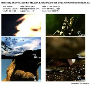 Discovery Channel - Speed of Life Part 1: Hunters of East Africa