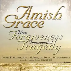 «Amish Grace» by Donald B. Kraybill,Steven M. Nolt,David L. Weaver-Zercher