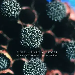 Steve Roach & Jorge Reyes - Vine ~ Bark & Spore (2000)