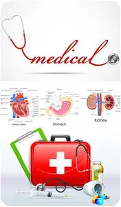 Medical vector, anatomy