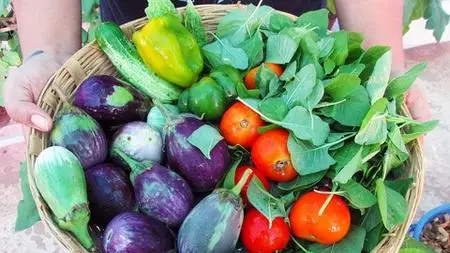 Organic Container Gardening, The Indian Way