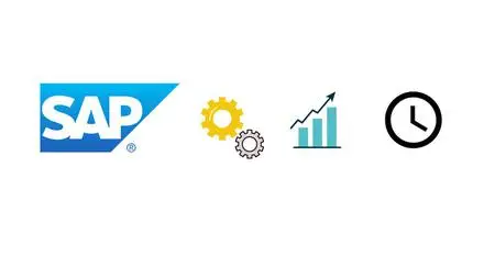 SAP Performance analysis for ABAP, BW, Functional consultant