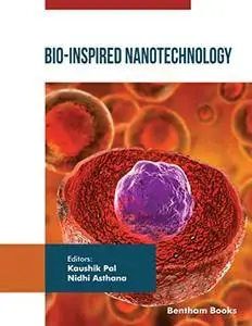 Bio-Inspired Nanotechnology