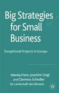Big Strategies for Small Business: Exceptional Projects in Europe (repost)