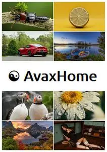 AvaxHome Wallpapers Part 95