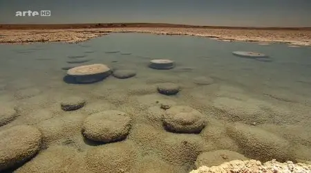 (Arte) Désert d'Atacama, la vie sans eau (2013)