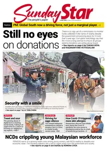 The Star Malaysia - 6 July 2025