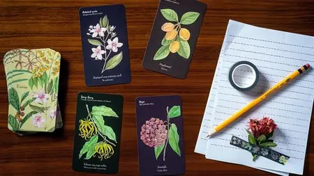 Complete Beginner'S Guide For Reading Oracle Cards