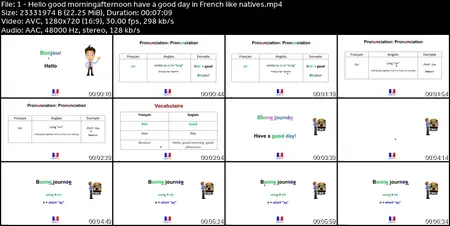 French Language Course: Learn French/ Speak it like Natives