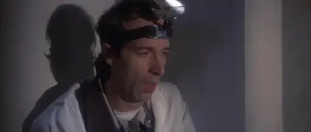 Son of the Pink Panther (1993)