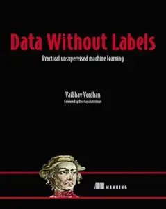 Data Without Labels