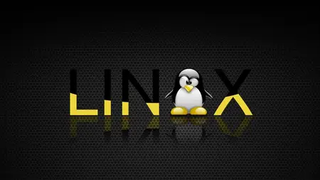Linux Bootcamp 2025: Learn Linux in under 3 hours