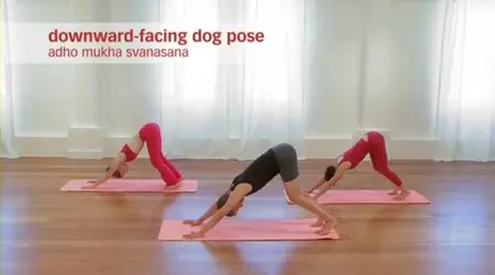 Yoga Journal: Yoga for Morning, Noon & Night - Jason Crandell