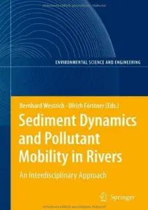 Sediment Dynamics and Pollutant Mobility in Rivers: An Interdisciplinary Approach [Repost]