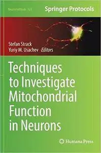 Techniques to Investigate Mitochondrial Function in Neurons