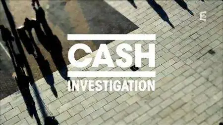 (Fr2) Cash investigation - Paradis fiscaux le casse du siècle (2016)