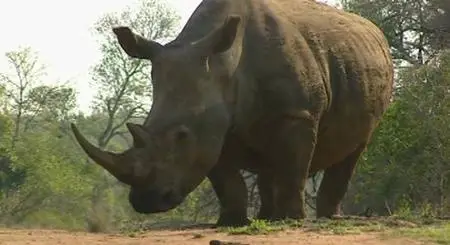 BBC: Безжалостные убийцы