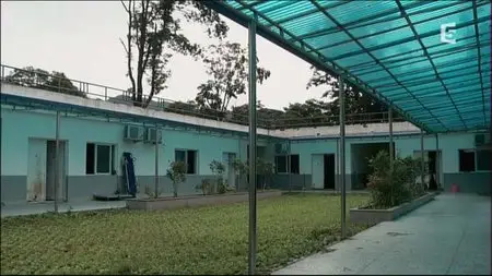 (Fr5) La vallée des pandas (2015)