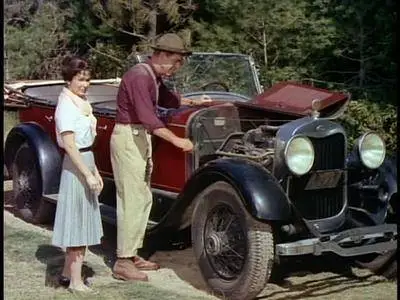 Follow Me, Boys! (1966)