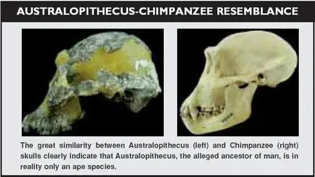 New Research Demolishes Evolution