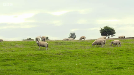 BBC - Countryfile Autumn Diaries (2016)