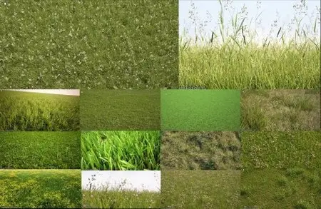3D Models: The Grass