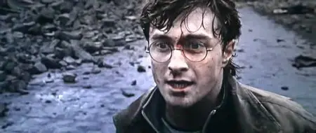 Harry Potter and the Deathly Hallows: Part 2 / Harry Potter et les reliques de la mort - 2ème partie (2011)