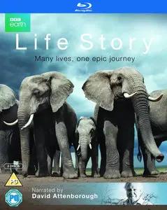 Life Story (2014)
