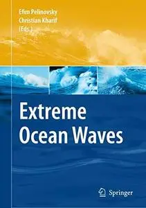 Extreme ocean waves