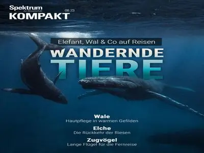 Spektrum Kompakt - Wandernde Tiere - 27 Februar 2024