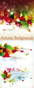 Autumn Leaves Backgrounds