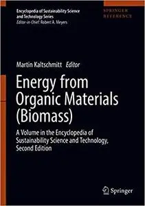 Energy from Organic Materials (Biomass)