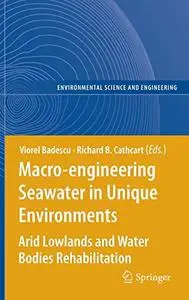 Macro-engineering Seawater in Unique Environments: Arid Lowlands and Water Bodies Rehabilitation (Repost)