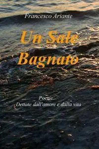 Un Sale Bagnato