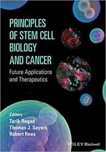 Principles of Stem Cell Biology and Cancer: Future Applications and Therapeutics