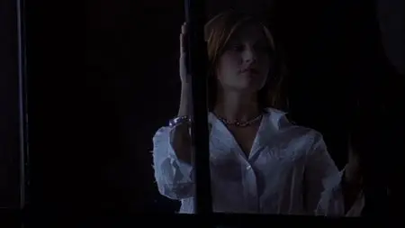 Do You Like Hitchcock? (2005)