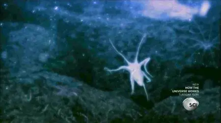 Science Channel - How the Universe Works Series 5: Mystery of Planet 9 (2016)