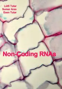 "Non-Coding RNAs" ed. by Lütfi Tutar, Sumer Aras, Esen Tutar
