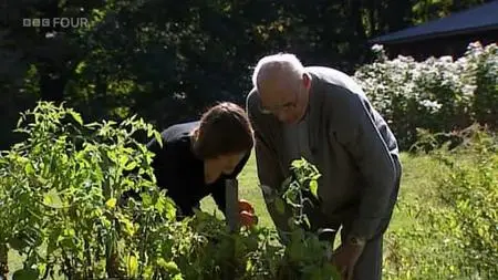 BBC Imagine - Arthur Miller: Finishing the Picture (2004)