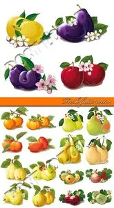Fresh fruits vector