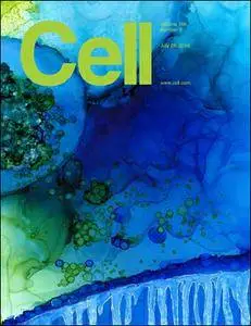Cell - 28 July 2016