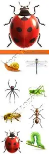 Insects Illustrations vector  snail, ant, ladybug, grasshopper, bee, caterpillar, spider, dragonfly