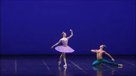 Ballet Gala des Etoiles - Teatro alla Scala 2015 [HDTV 1080i/720p]